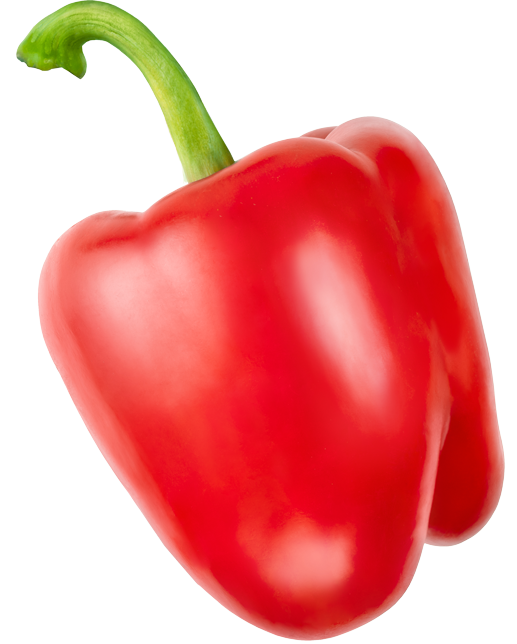 Main–absolute_veg2